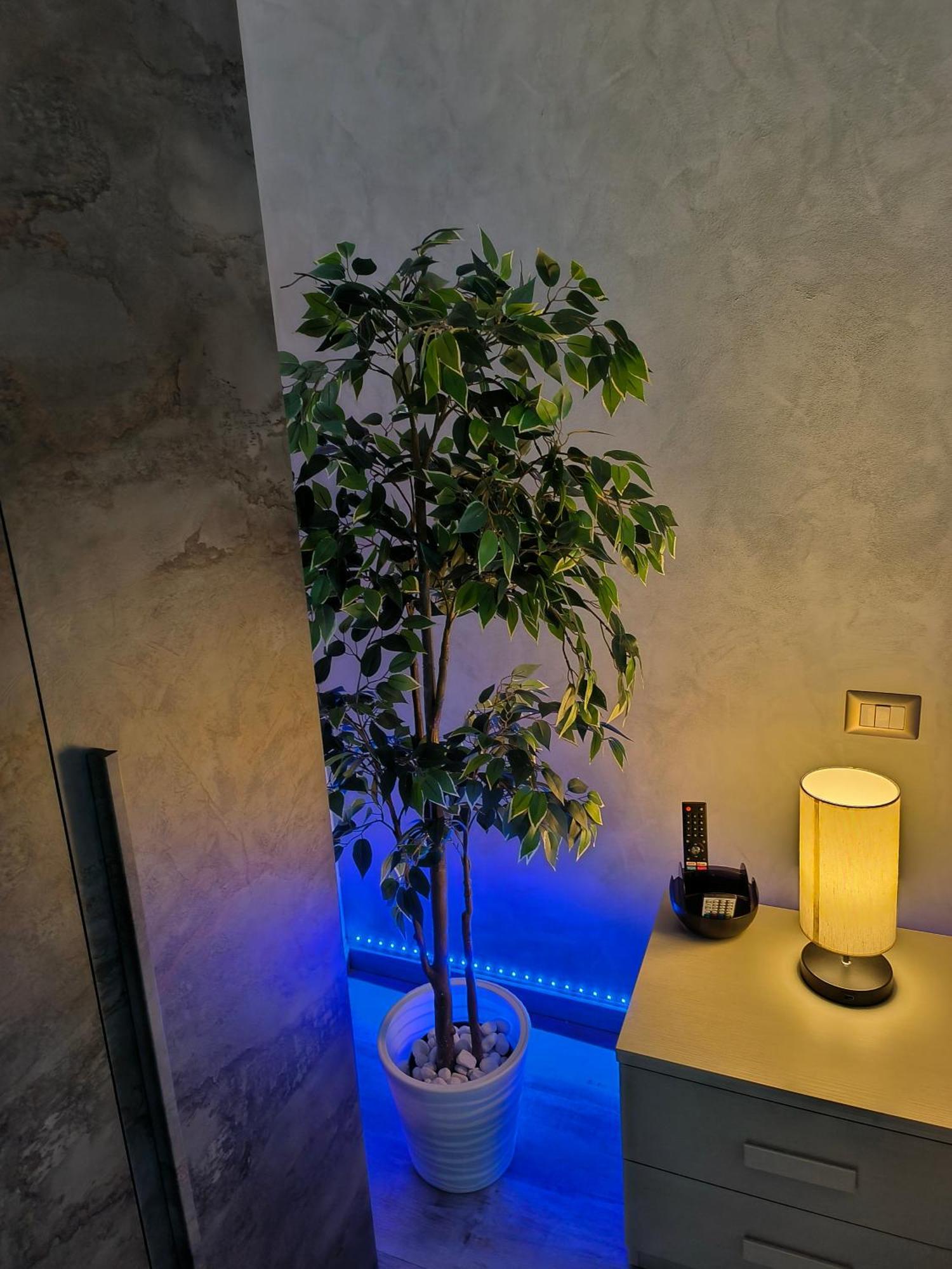 Lejlighed Relax Rom